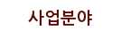 사업분야